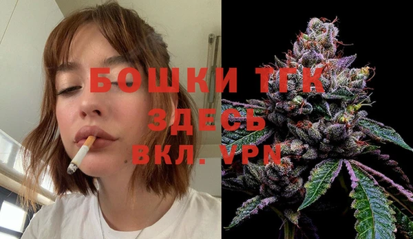 индика Зеленокумск