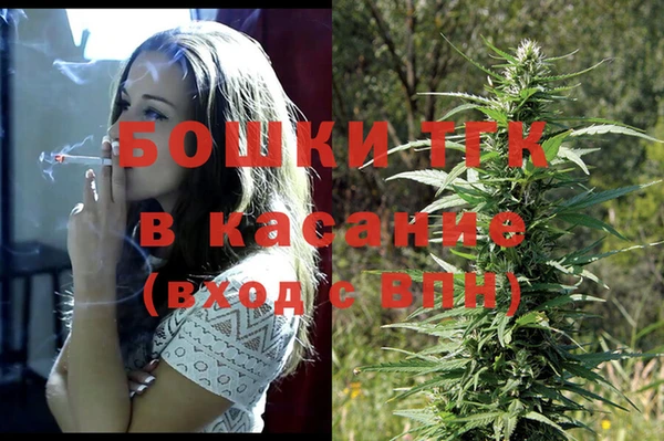 индика Зеленокумск