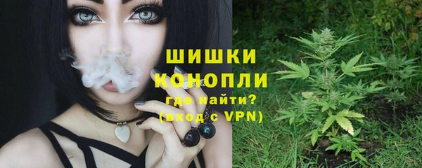 индика Зеленокумск