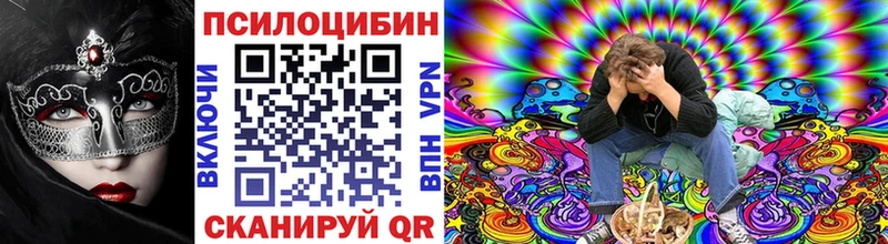 Купить закладки  Дзержинский  Псилоцибиновые грибы Psilocybe 